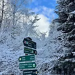 Holiday home Urige Berghuette Mit Kamin Und Sauna Im Erzgebirge Nahe Schwarzwassertal