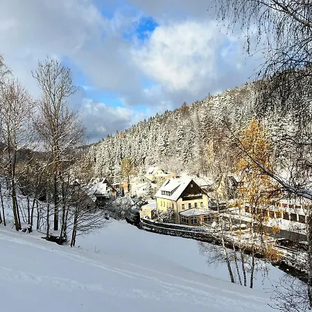 Feriehus Urige Berghuette Mit Kamin Und Sauna Im Erzgebirge Nahe Schwarzwassertal *