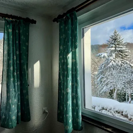 Urige Berghuette Mit Kamin Und Sauna Im Erzgebirge Nahe Schwarzwassertal