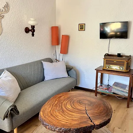 Urige Berghuette Mit Kamin Und Sauna Im Erzgebirge Nahe Schwarzwassertal * Pobershau