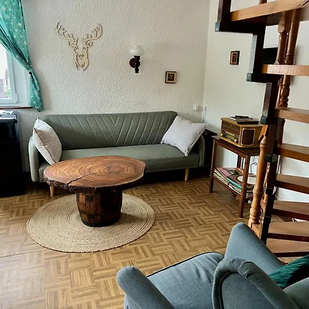 Urige Berghuette Mit Kamin Und Sauna Im Erzgebirge Nahe Schwarzwassertal *