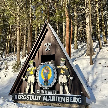 Urige Berghuette Mit Kamin Und Sauna Im Erzgebirge Nahe Schwarzwassertal Pobershau